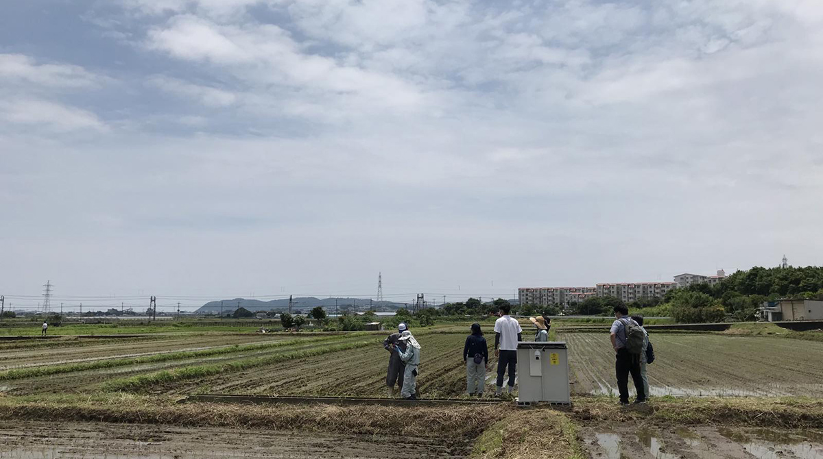 圃場監視システム01